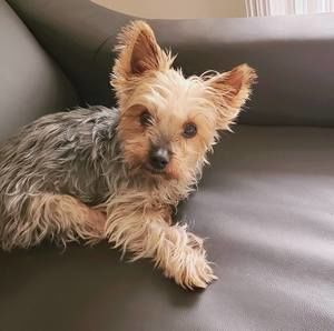 Meet your Posher, Ashley